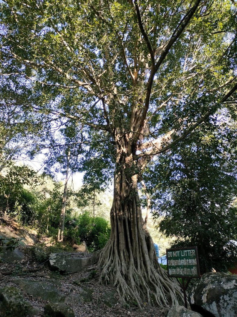 eravikulam national park nearest view point